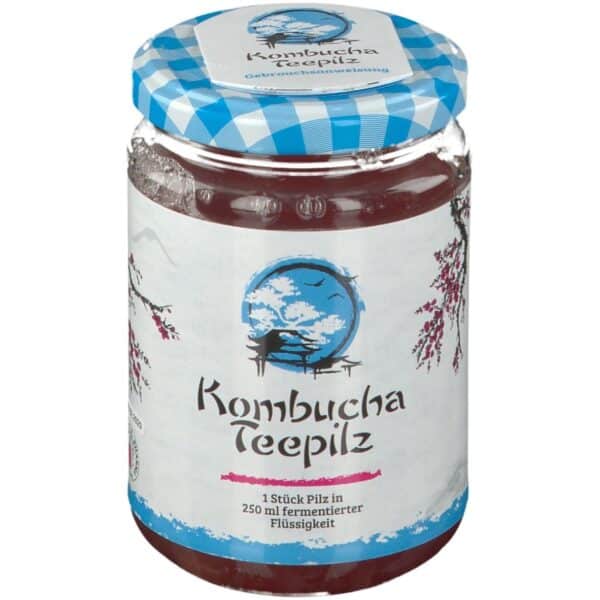 Gall Pharma Kombucha Teepilz