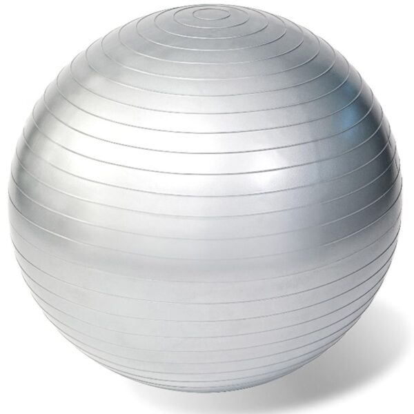 Rehaforum® Gymnastikball 65 cm silber metallic