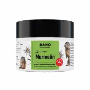 Murmelin® Natur Murmeltiersalbe