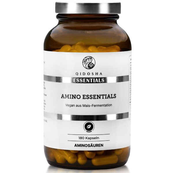 Qidosha Master Aminosäuren Komplex plus Vitamin B6