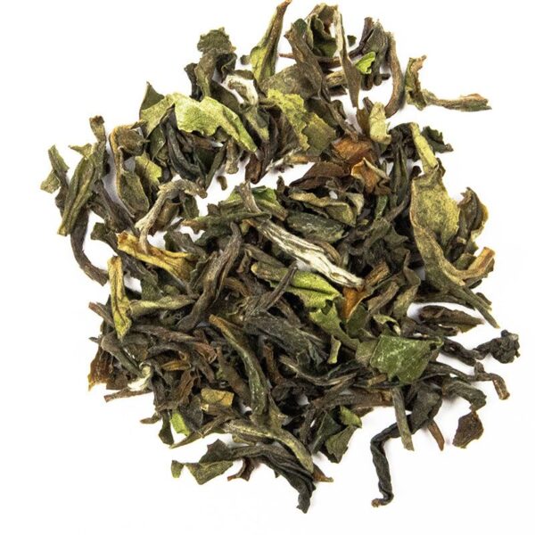 Schrader Schwarzer Tee Darjeeling First Flush Gielle Ftgfop1